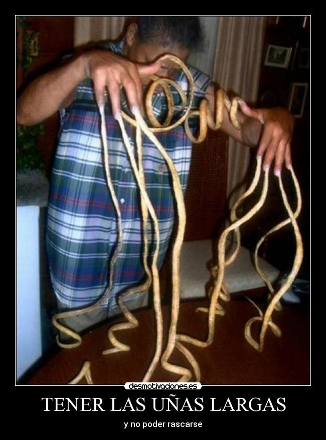 carteles juan alberto toledo mercado desmotivaciones