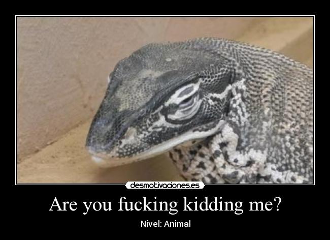 Are you fucking kidding me? - 