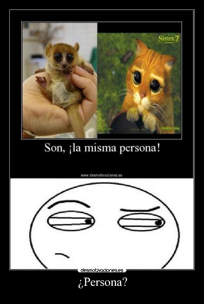 ¿Persona? - 