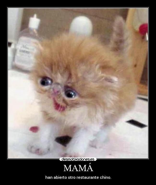 MAMÁ - han abierto otro restaurante chino.
