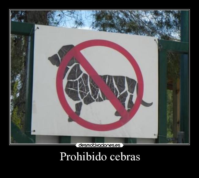 Prohibido cebras -