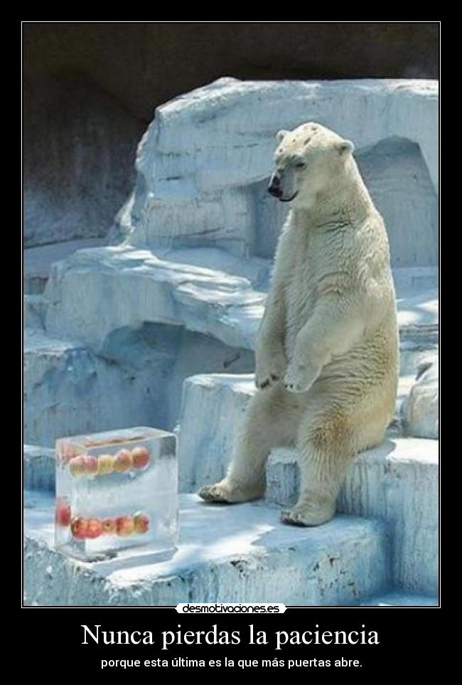 Nunca pierdas la paciencia - porque esta última es la que más puertas abre.