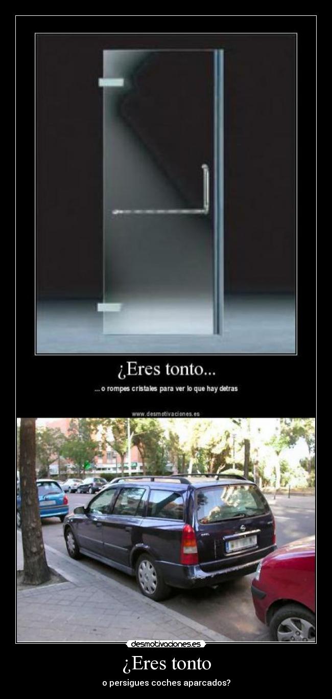 ¿Eres tonto - 