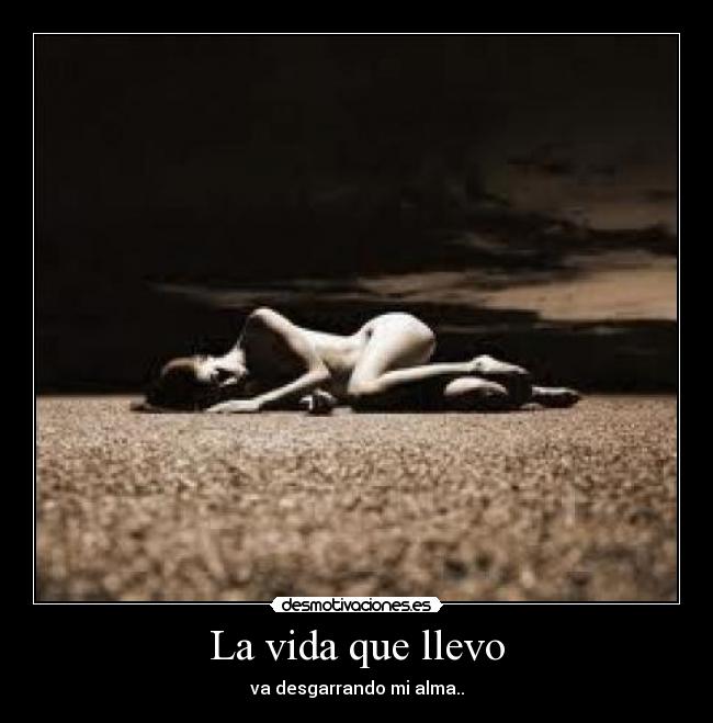 La vida que llevo - 