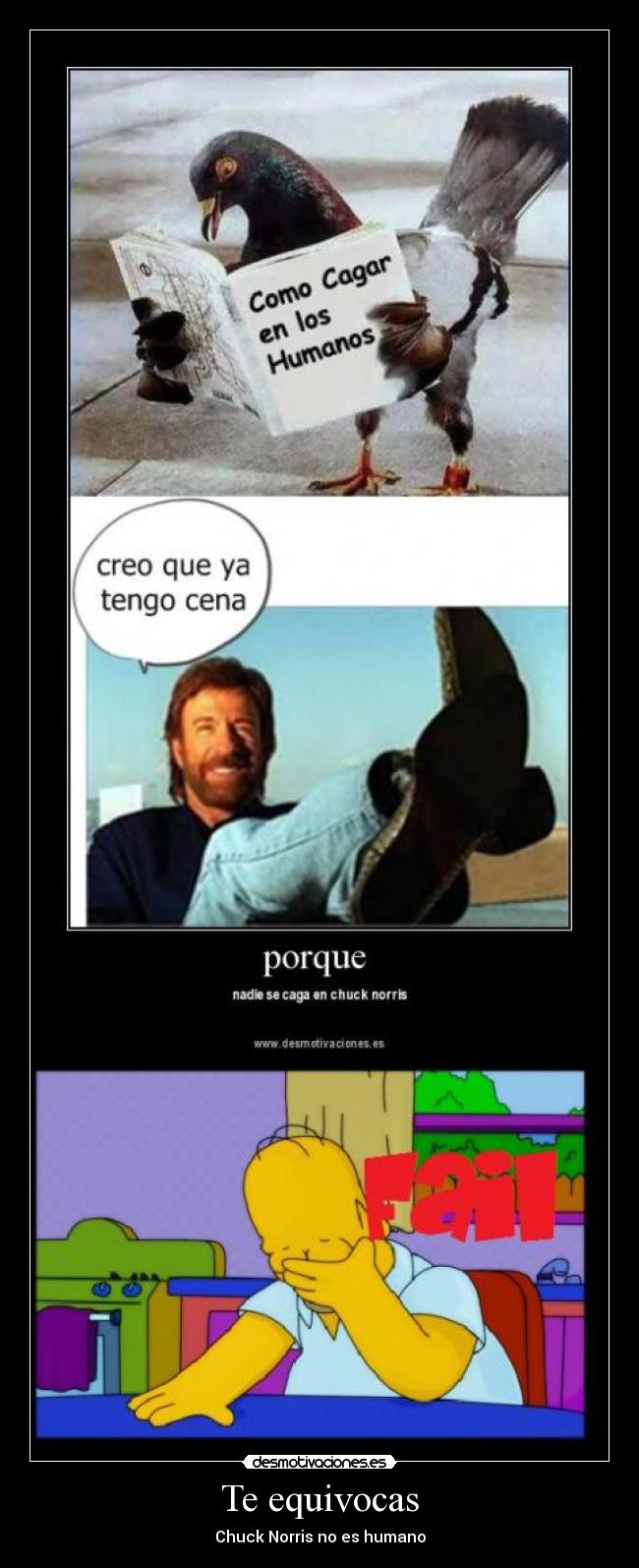 Te equivocas - Chuck Norris no es humano