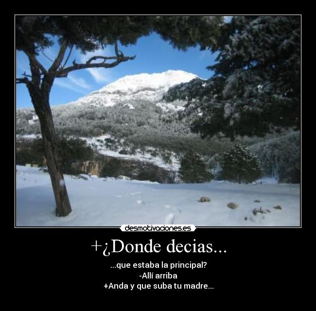 +¿Donde decias... - 
