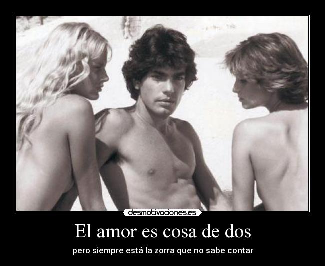 carteles amor amor cosa dos zorra desmotivaciones