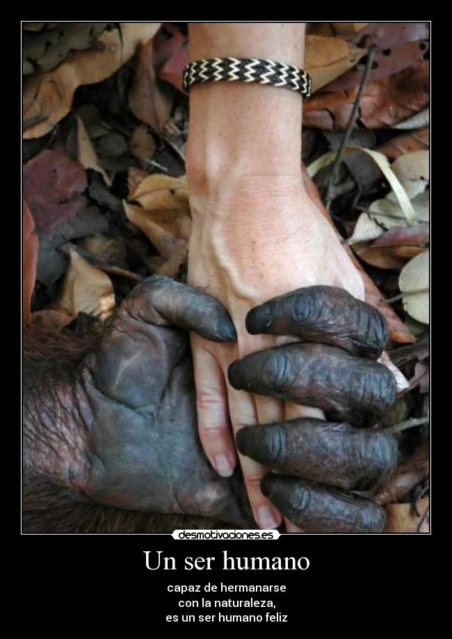 carteles felicidadnatural desmotivaciones