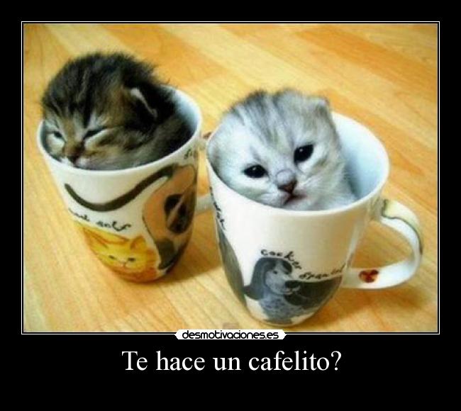 Te hace un cafelito? -