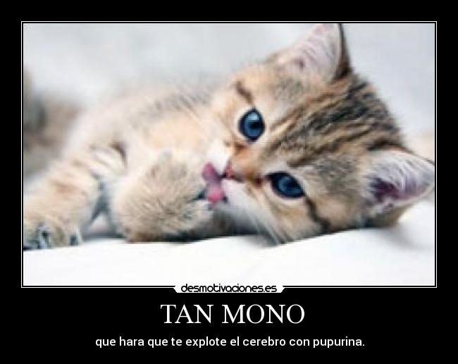  TAN MONO - 