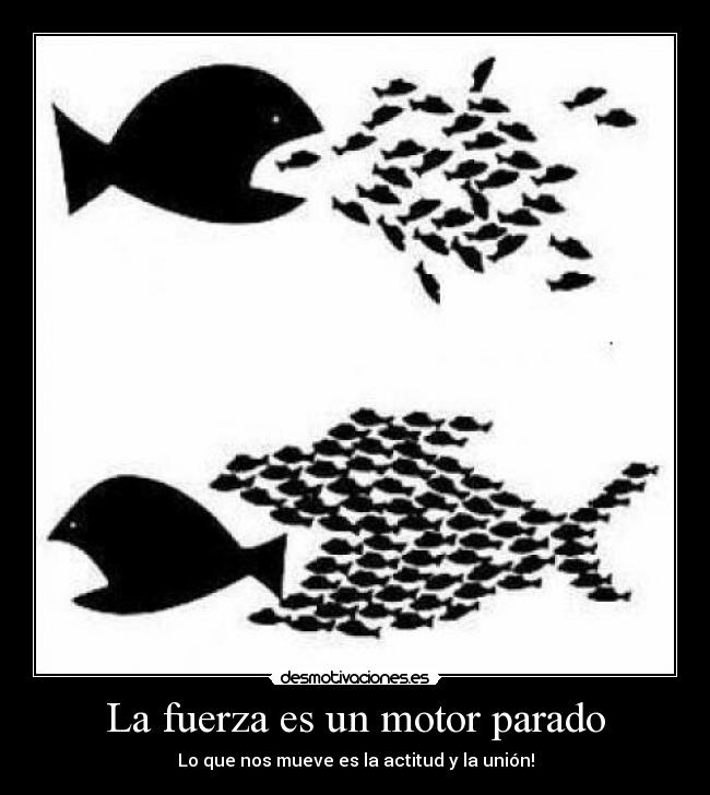 La fuerza es un motor parado - 