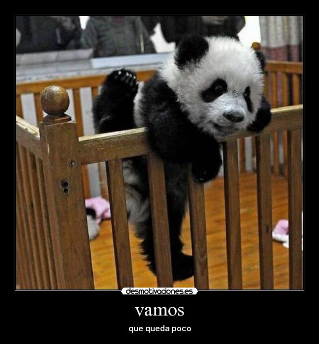 vamos - que queda poco