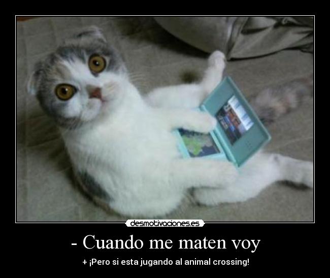 - Cuando me maten voy - + ¡Pero si esta jugando al animal crossing!