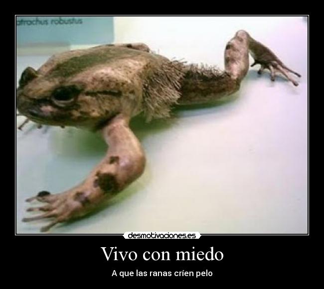 Vivo con miedo - 