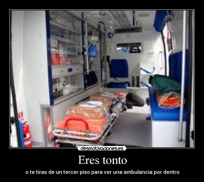 Eres tonto - o te tiras de un tercer piso para ver una ambulancia por dentro