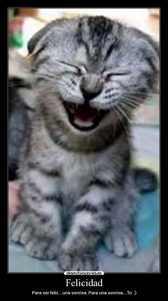 Felicidad - 