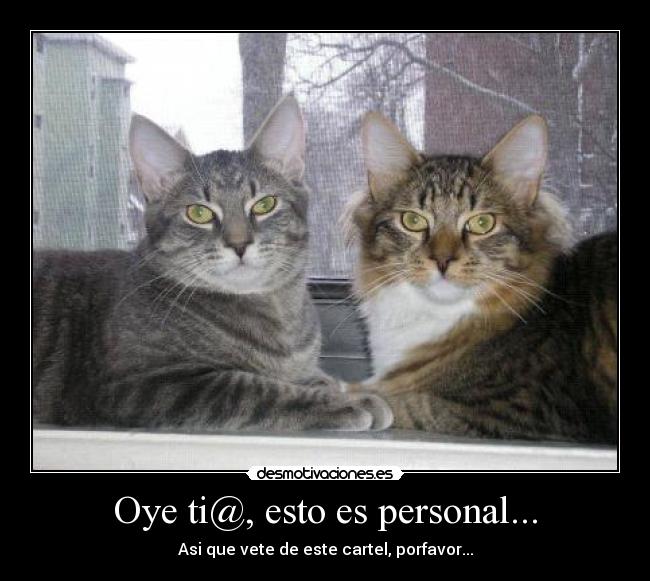 Oye ti@, esto es personal... -