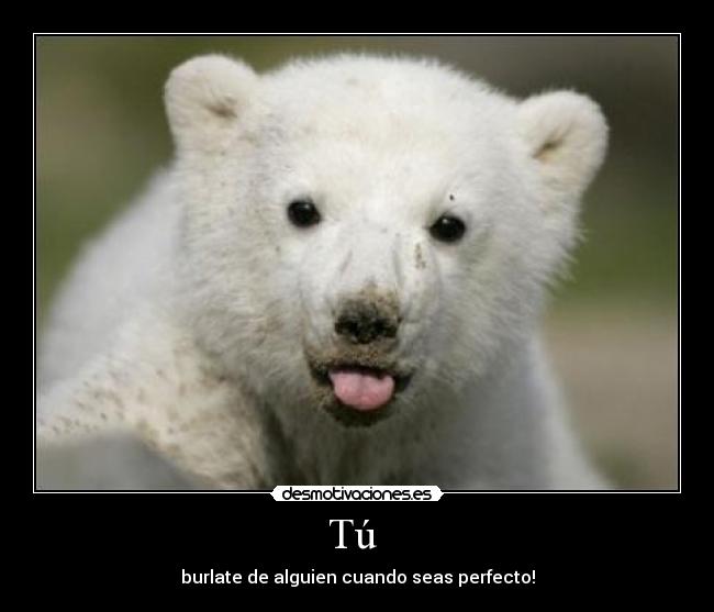 Tú - burlate de alguien cuando seas perfecto!