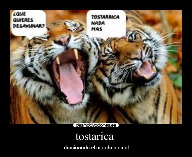 tostarica - dominando el mundo animal