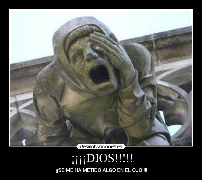 ¡¡¡¡DIOS!!!!! - ¡¡SE ME HA METIDO ALGO EN EL OJO!!!!
