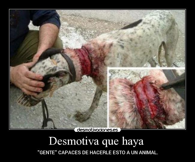 Desmotiva que haya -