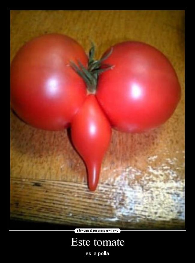 Este tomate - 