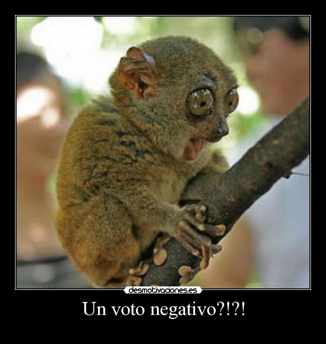 Un voto negativo?!?! - 