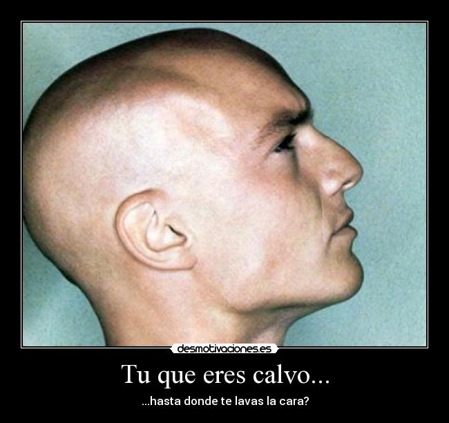 carteles chuck norris sergikku calvos desmotivaciones