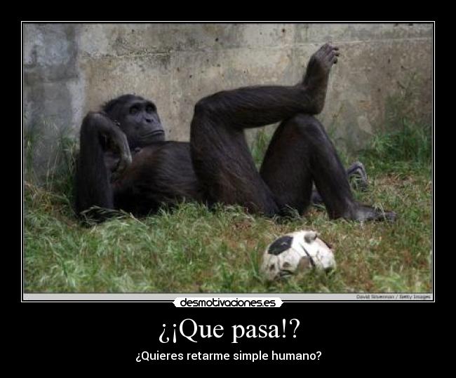 ¿¡Que pasa!? - ¿Quieres retarme simple humano?