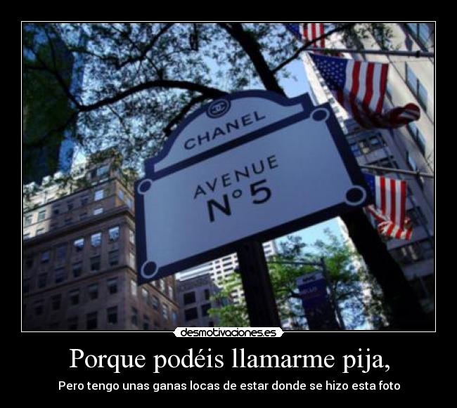 Porque podéis llamarme pija, -