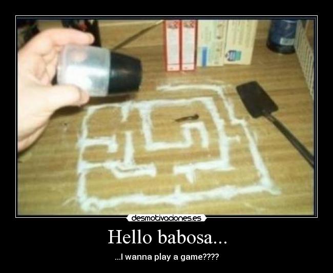 Hello babosa... -