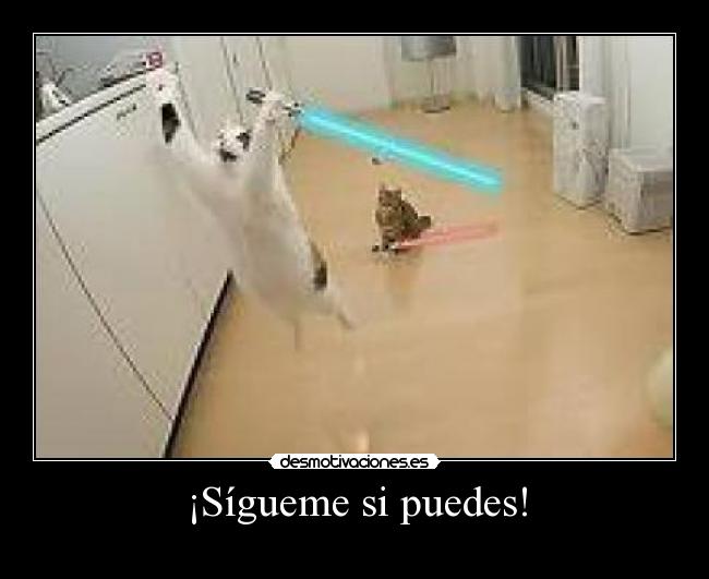 ¡Sígueme si puedes! - 