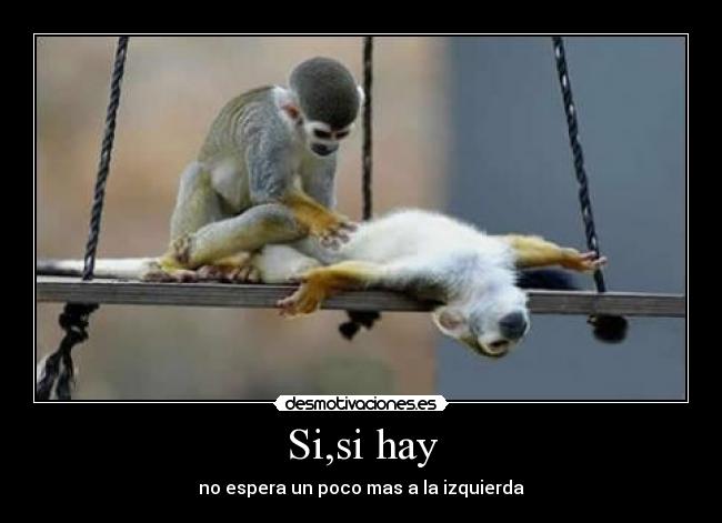 Si,si hay - no espera un poco mas a la izquierda