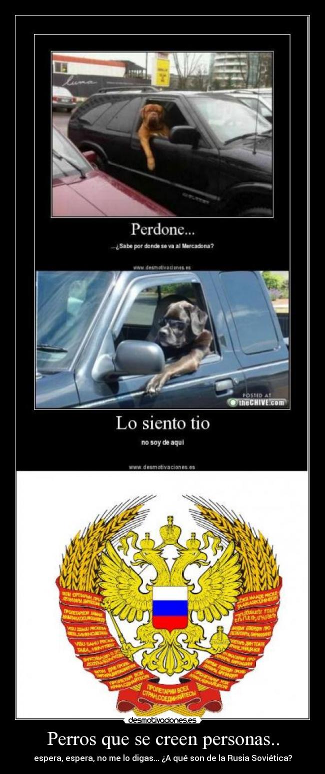 Perros que se creen personas.. -