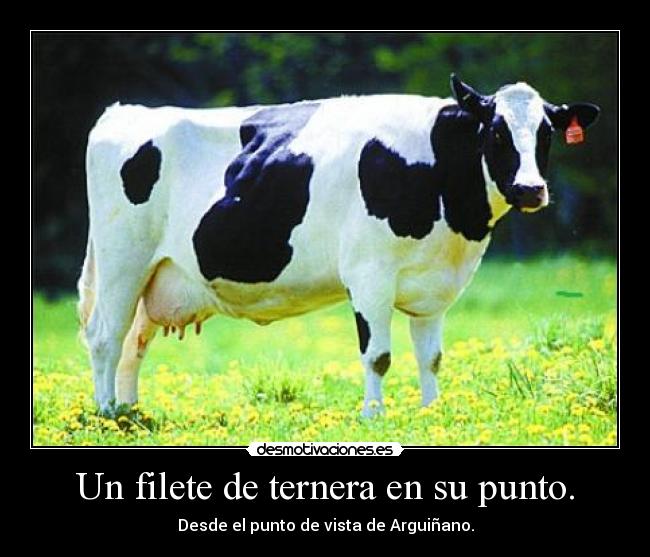 Un filete de ternera en su punto. - Desde el punto de vista de Arguiñano.