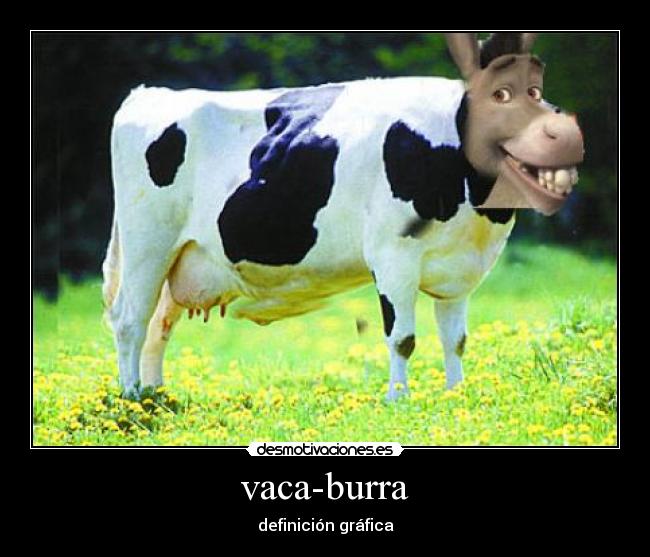 vaca-burra - definición gráfica