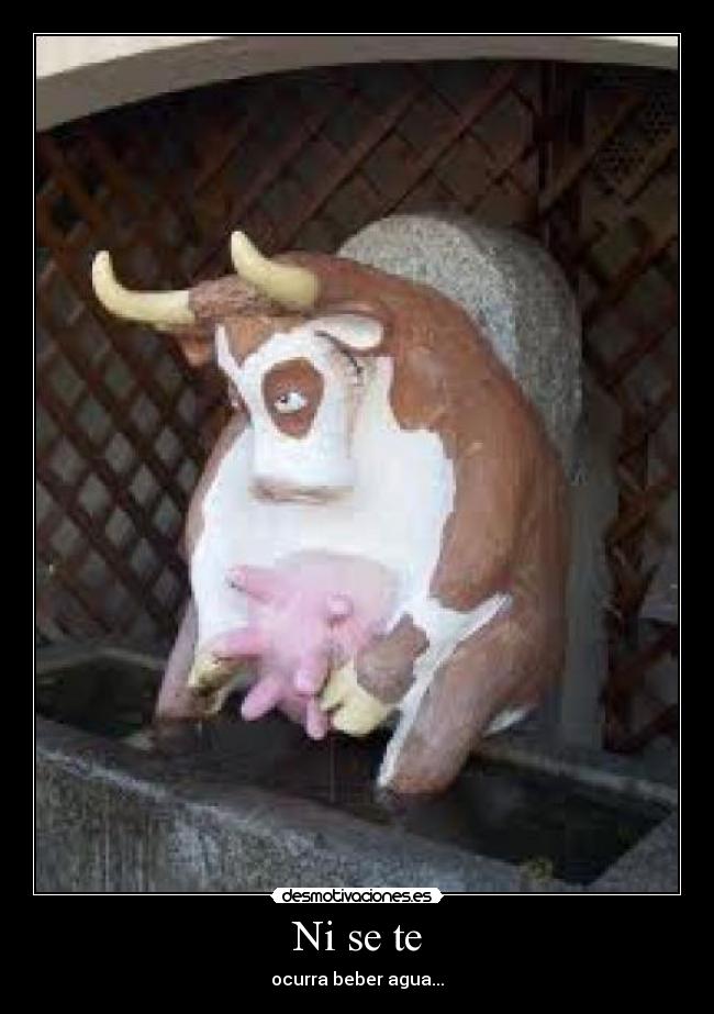 Ni se te - ocurra beber agua...