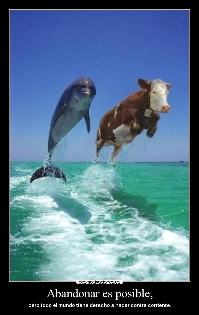 Abandonar es posible, - pero todo el mundo tiene derecho a nadar contra corriente.