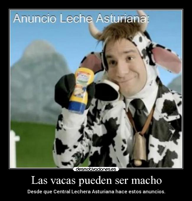 Las vacas pueden ser macho -