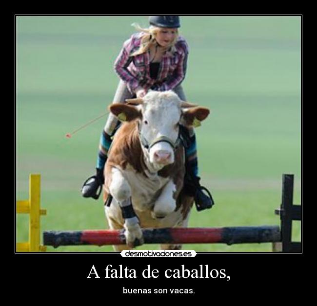 A falta de caballos, -
