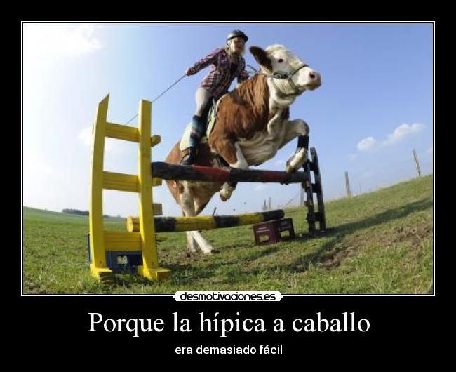 carteles hipica caballo vaca facil desmotivaciones