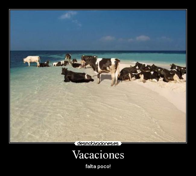 Vacaciones - 