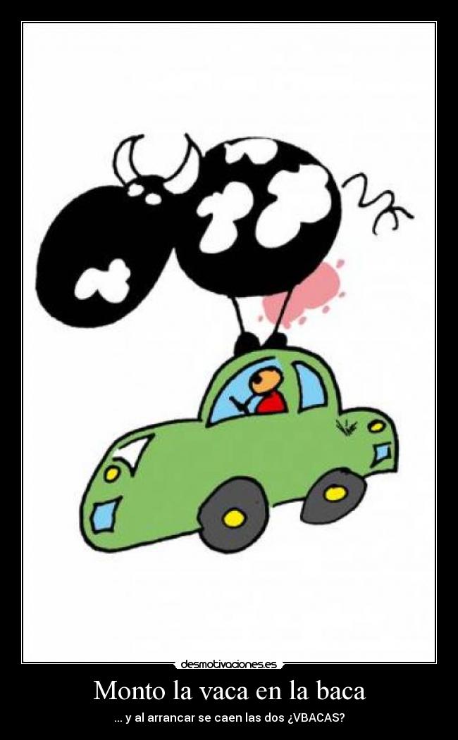 Monto la vaca en la baca - ... y al arrancar se caen las dos ¿VBACAS?