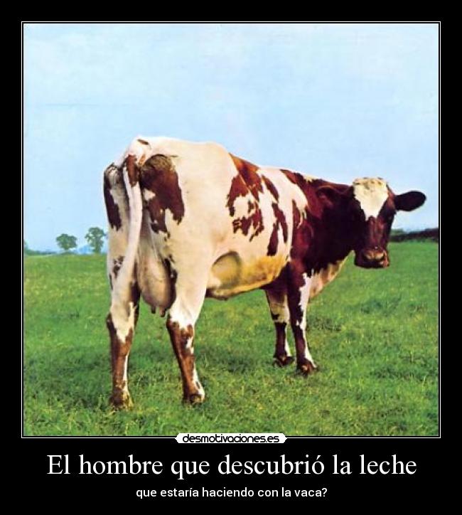 El hombre que descubrió la leche - que estaría haciendo con la vaca?