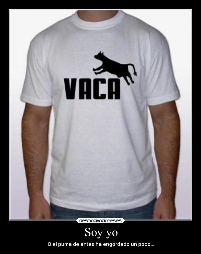 carteles vaca desmotivaciones