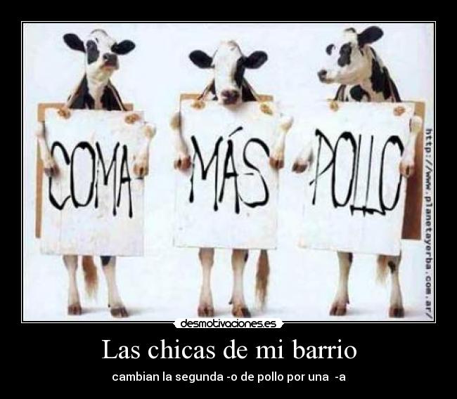 Las chicas de mi barrio -