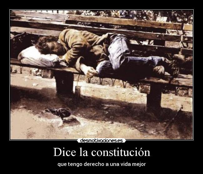 Dice la constitución - 