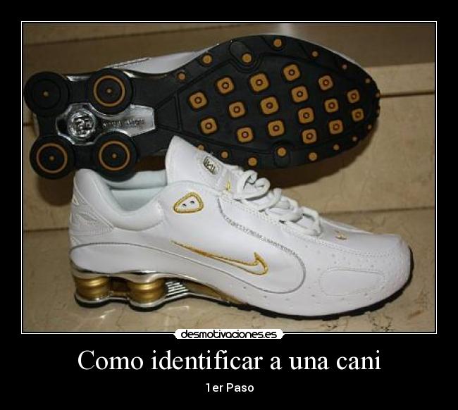 Como identificar a una cani - 1er Paso