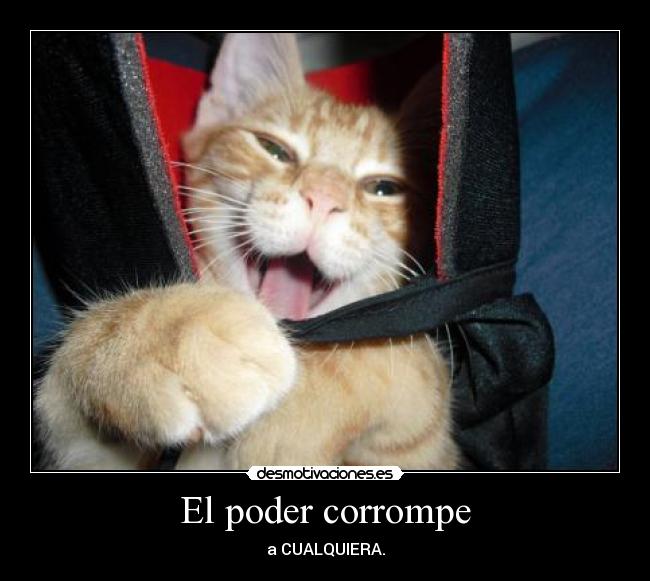 carteles love desmotivaciones