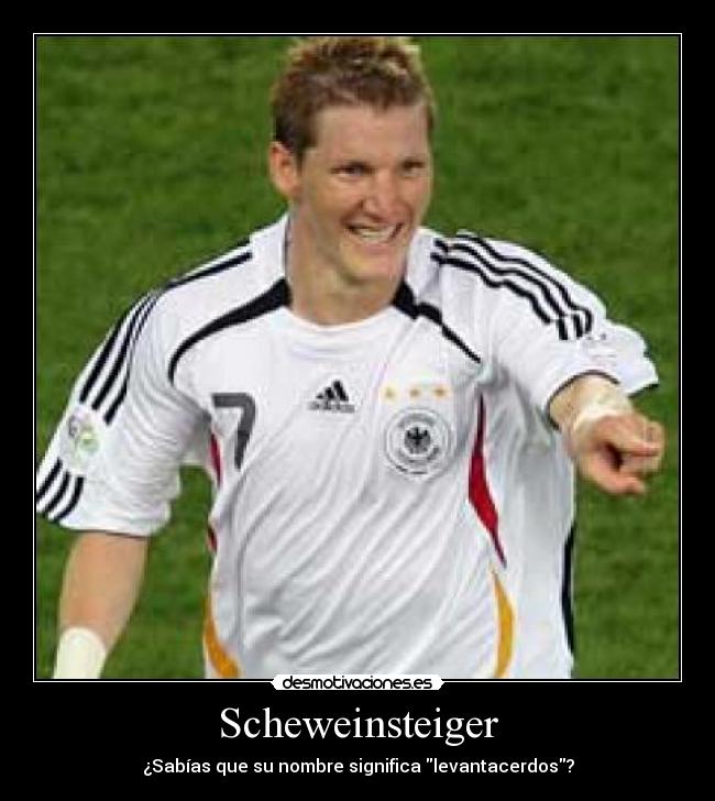 Scheweinsteiger -
